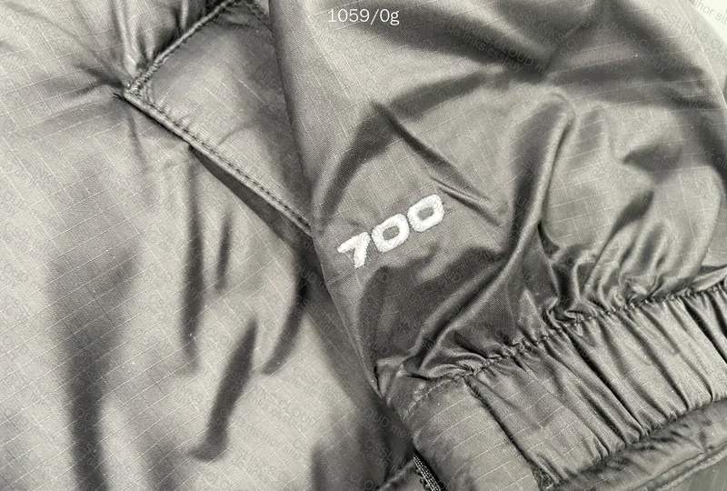 The North Face Jacket, PLEASE HELP 5