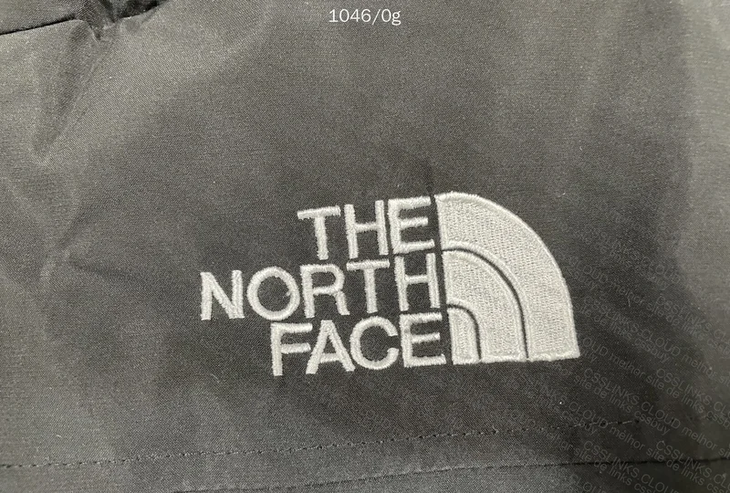The North Face Jacket (?), GL? 3