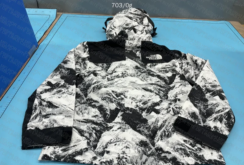The North Face Goretex Jacket