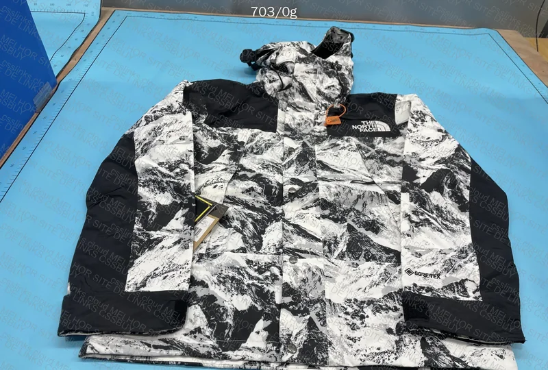 The North Face Goretex Jacket 2