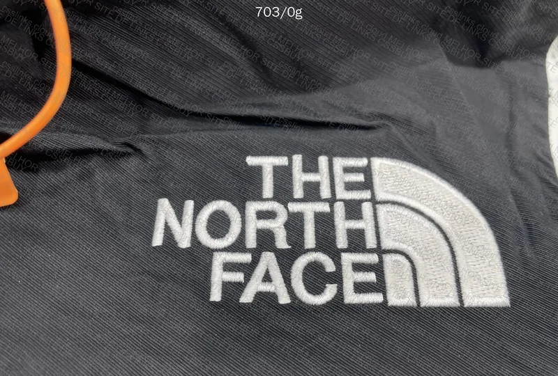 The North Face Goretex Jacket 3