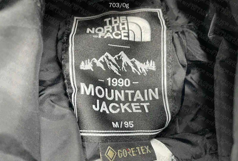 The North Face Goretex Jacket 4