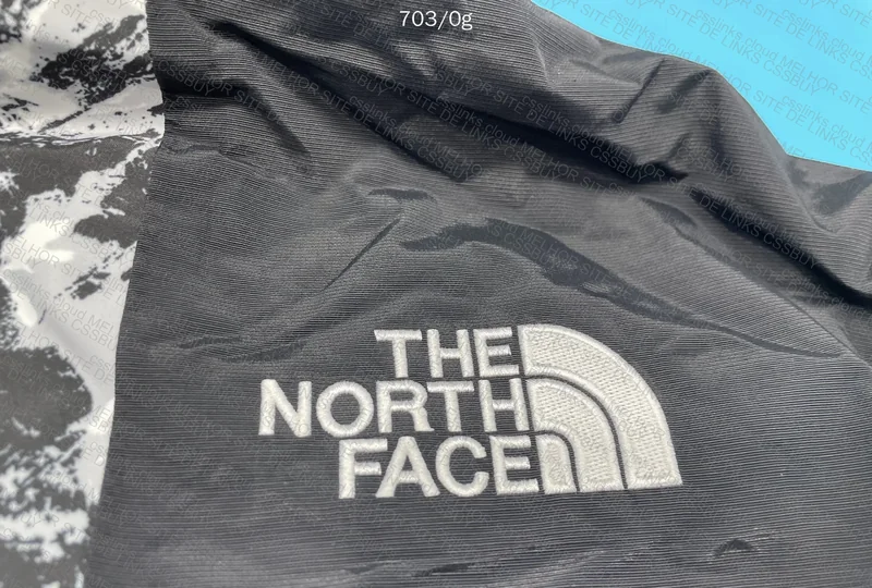 The North Face Goretex Jacket 7