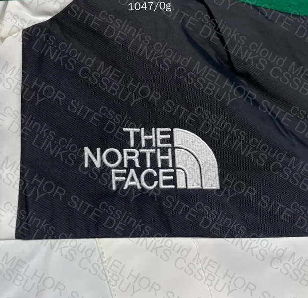 The North Face Goretex Jacket 3