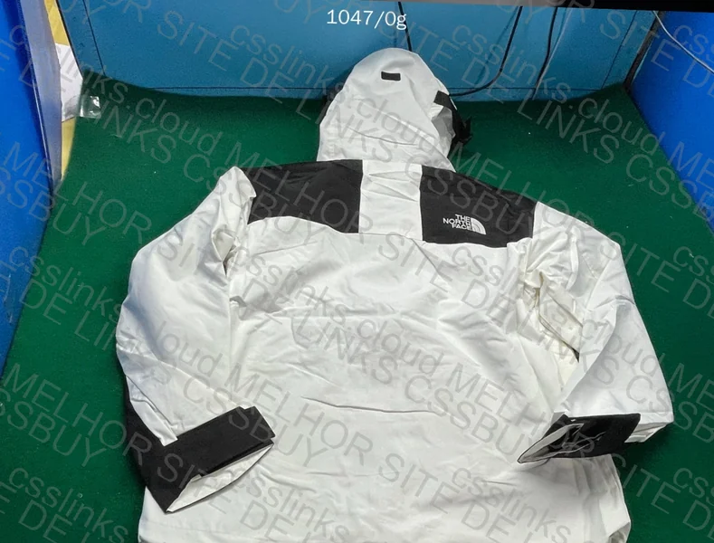 The North Face Goretex Jacket 4