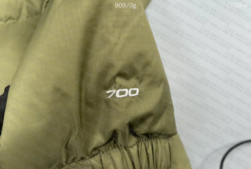 The North Face Nuptse 1996 Jacket