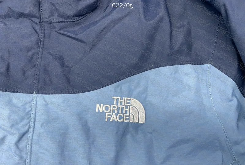 The North Face Original Used Jacket