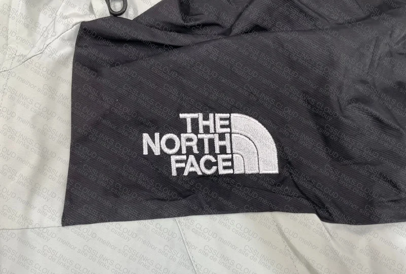 The North Face Jacket, Is It GL? The Stained One 2