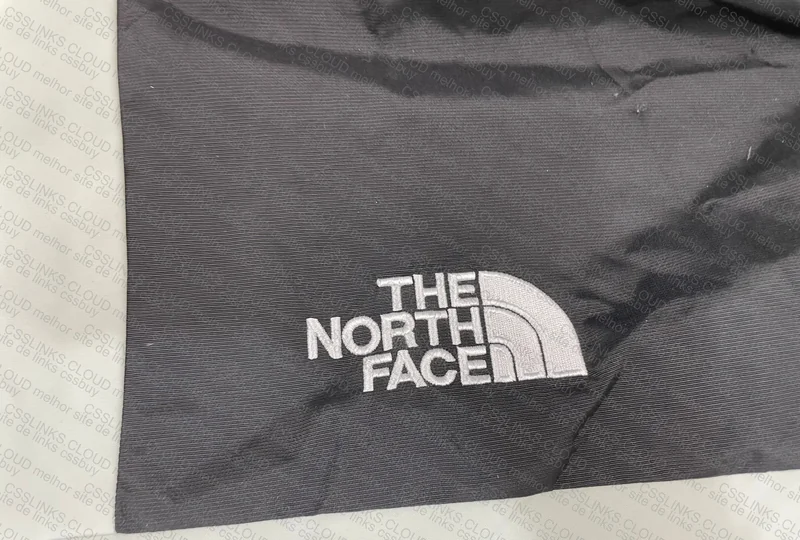 The North Face Jacket, Is It GL? The Stained One 6