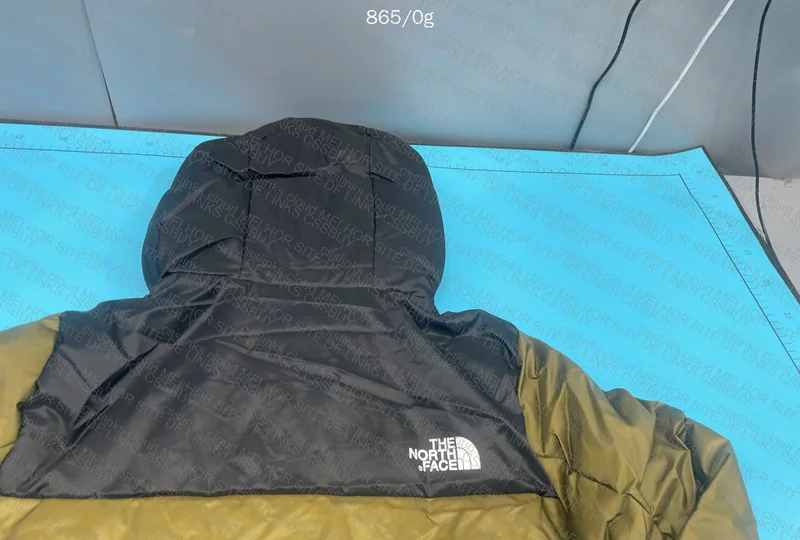 The North Face (TNF) Green Jacket with Hood
