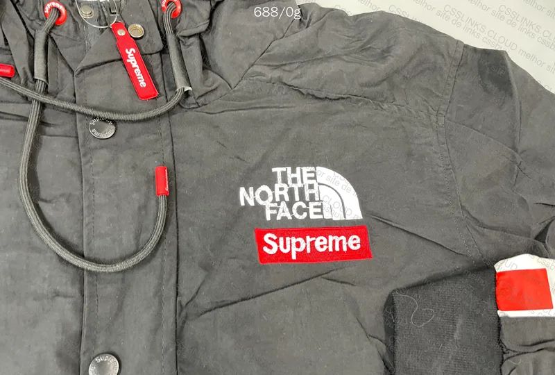 The North Face x Supreme Jacket 4