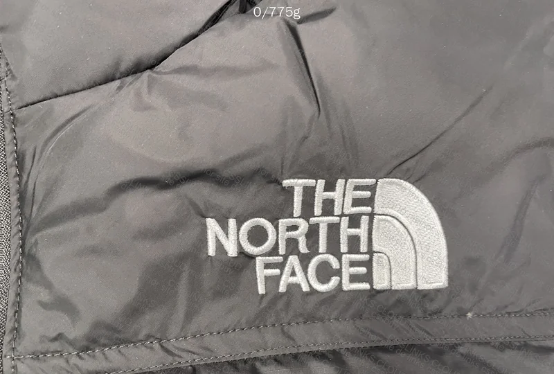 TNF Jacket 700 2