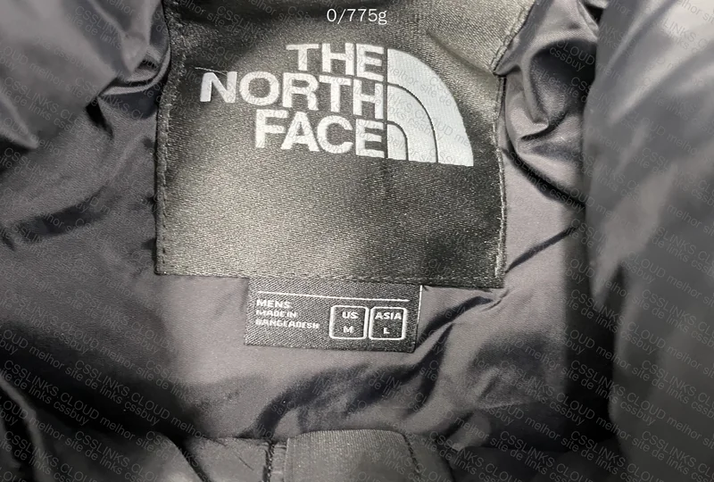 TNF Jacket 700 3