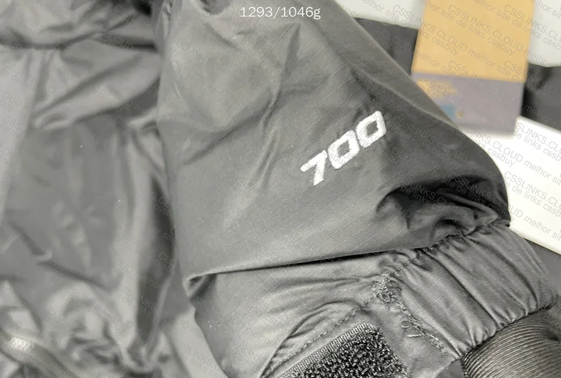 TNF Jacket 700 3