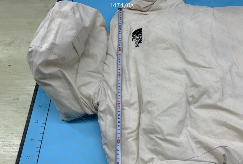 TNF Down Jacket 10