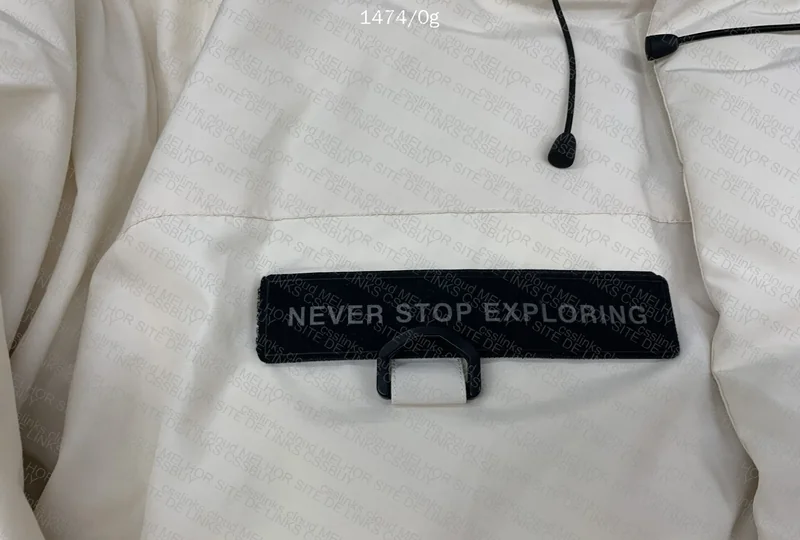 TNF Down Jacket 4