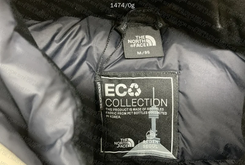TNF Down Jacket 5
