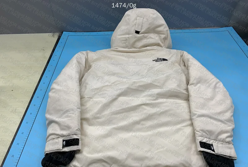 TNF Down Jacket 6