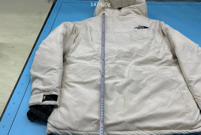 TNF Down Jacket 8