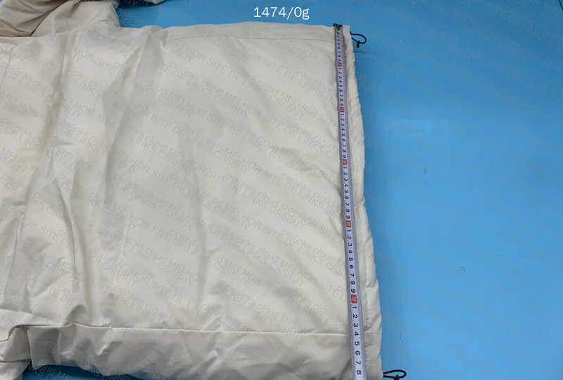 TNF Down Jacket 9