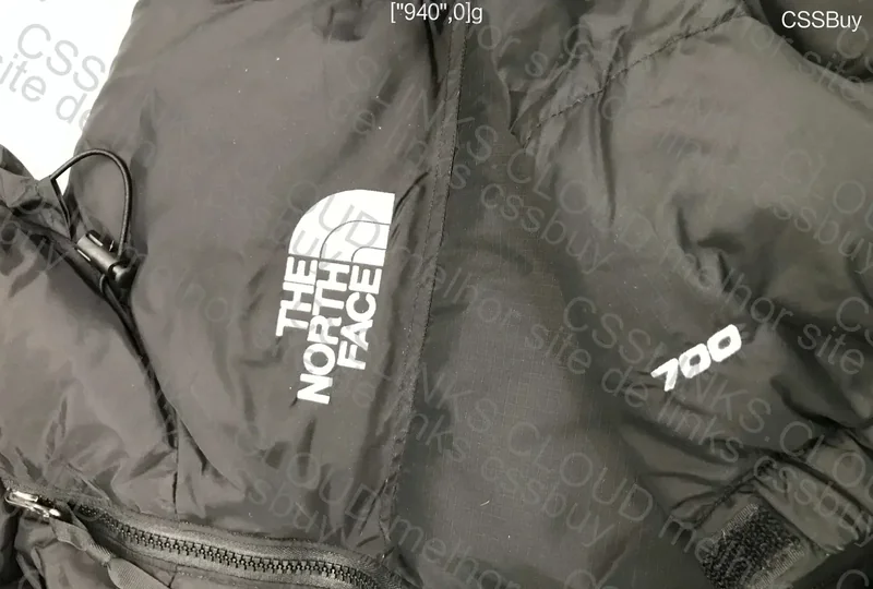 TNF Jacket and Travis Scott Shirt 2