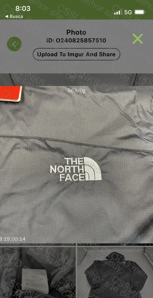 TNF Jacket GL? 2