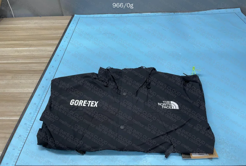 TNF x Goretex Jacket 2