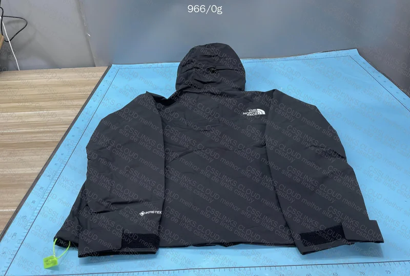 TNF x Goretex Jacket 6