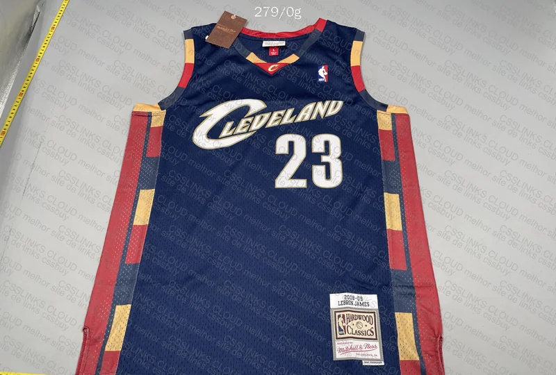 Cleveland Cavaliers Alternate 2008-09 Lebron James Blue Jersey 3