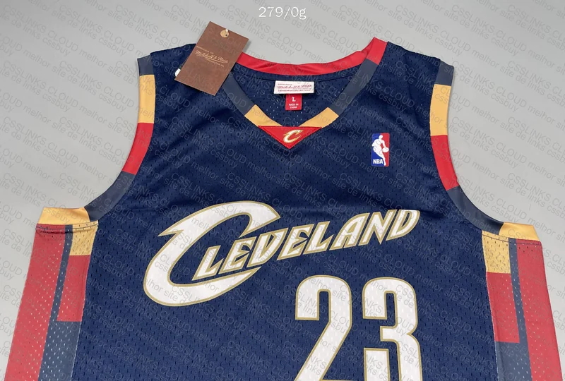 Cleveland Cavaliers Alternate 2008-09 Lebron James Blue Jersey 5