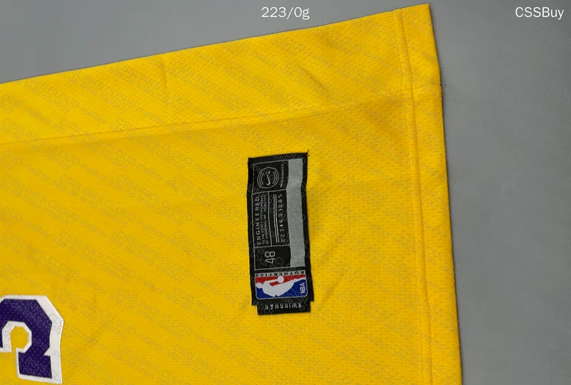 Lakers - Dad LeBron Jersey 2