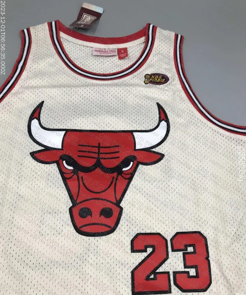 Mitchell & Ness NBA Retro Jersey 3