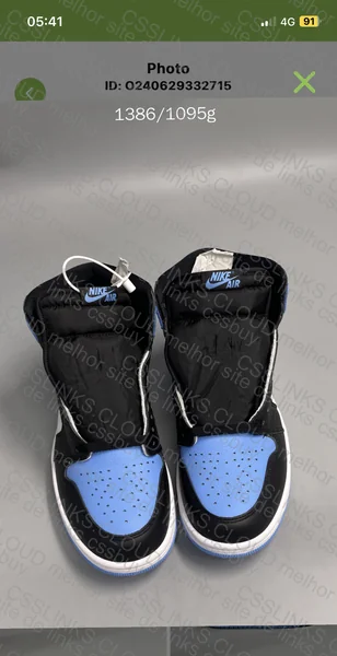 Jordan 1 high