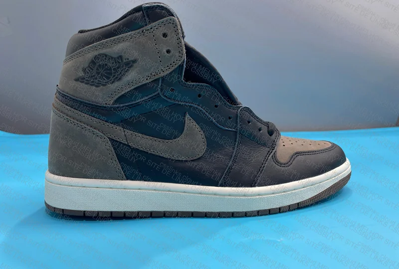 Jordan 1 high palomino 5