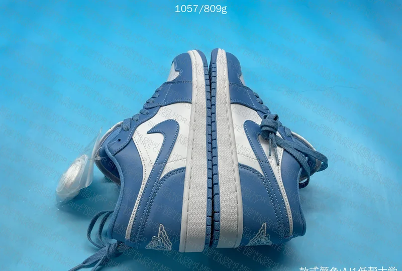 JORDAN 1 LOW 5