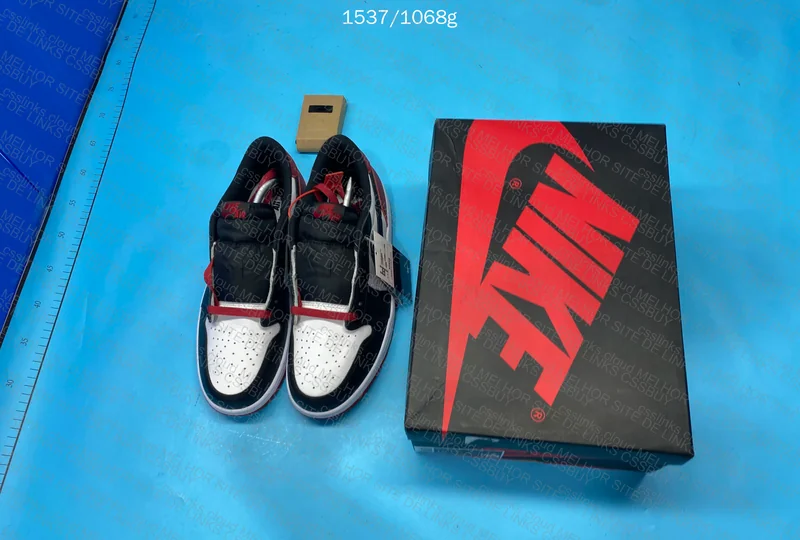 Jordan 1 Low 6