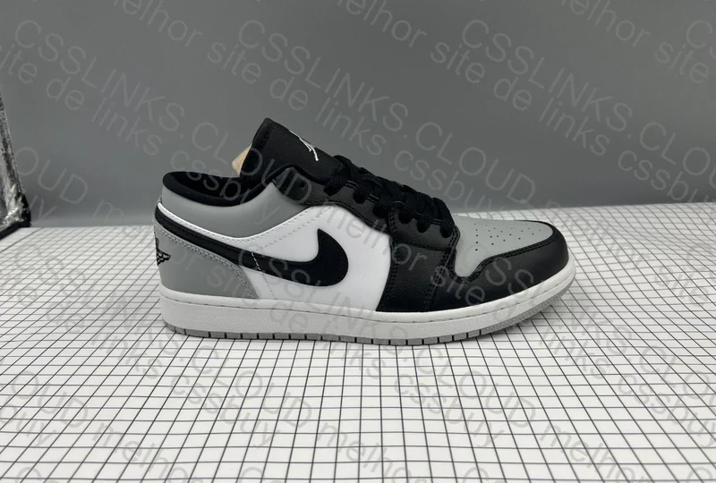 Jordan 1 Low 190y 5