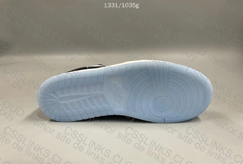 Jordan 1 Low Concord 5