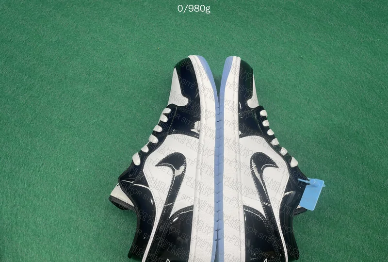 Jordan 1 Low Concord 3