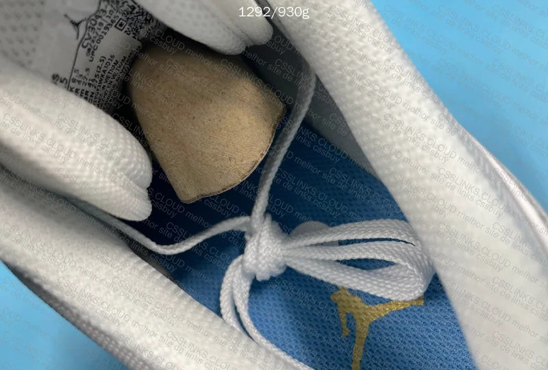 Jordan 1 Low Paris 10