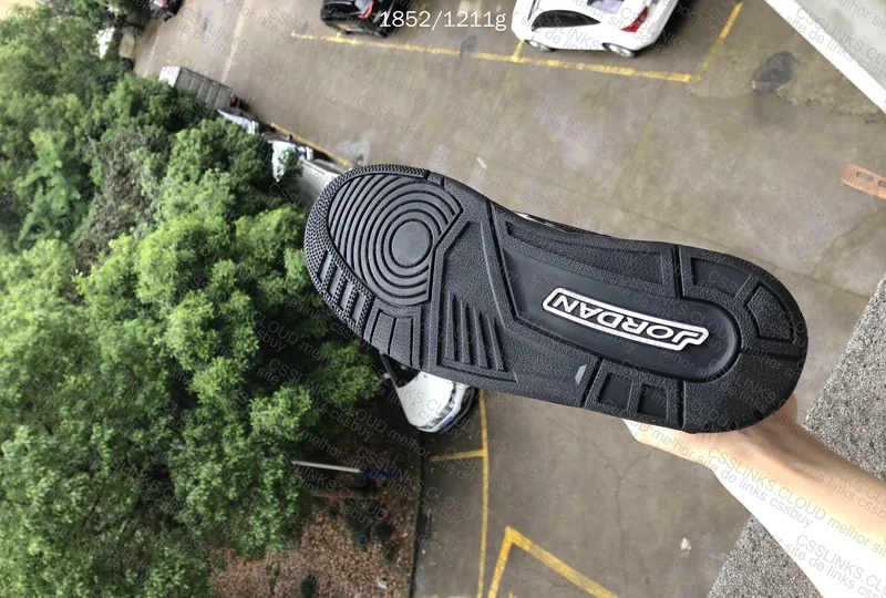 Jordan 3 Black Cat 3