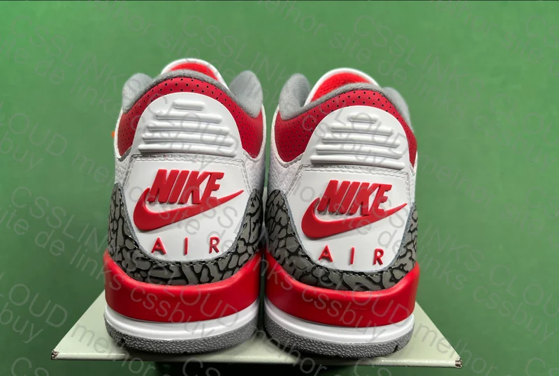 Jordan 3 Fire Red 5