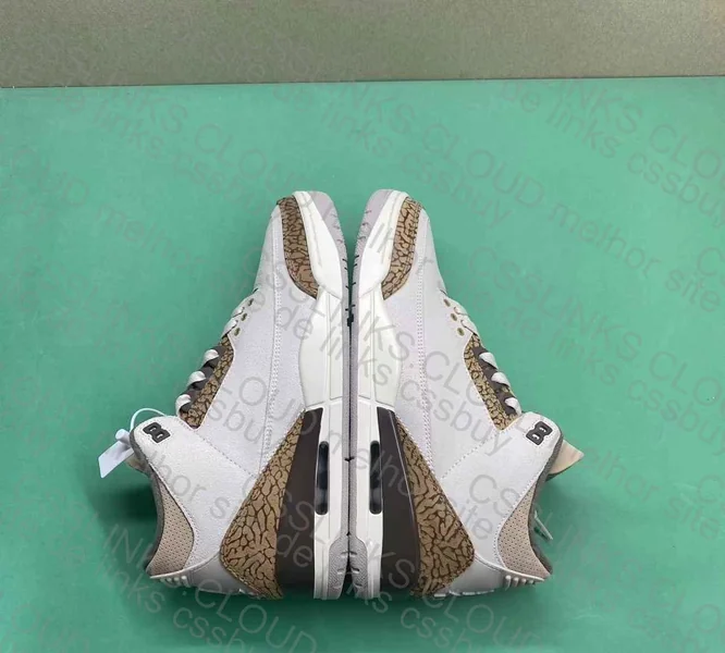 jordan 3 Palomino 4
