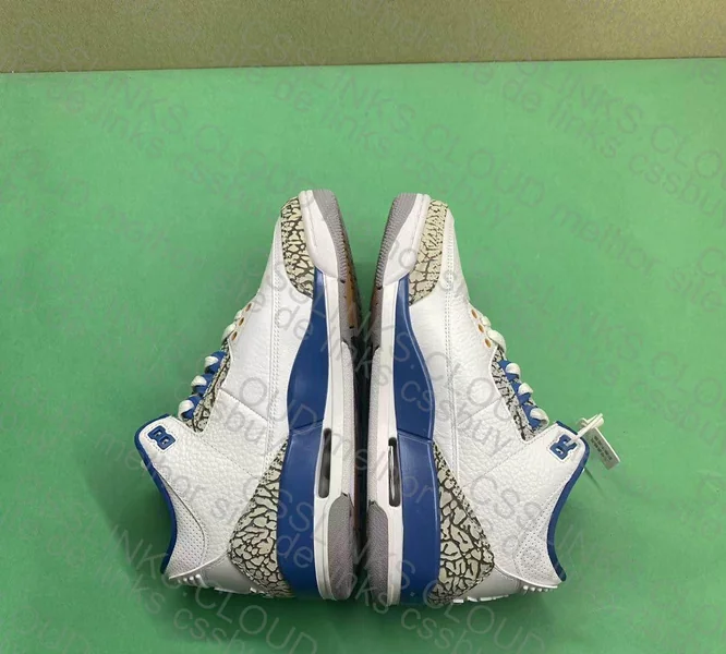 Jordan 3 Wizards DF 5