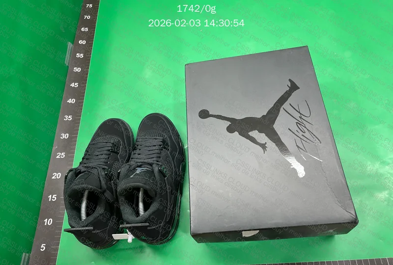 Jordan 4 Black Cat 3