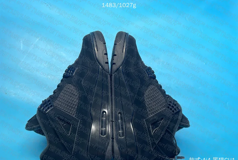 Jordan 4 Black Cat + Air Force Shadow 8