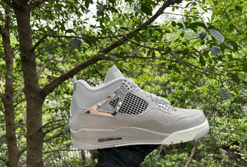 Jordan 4 frozen momento GX 6