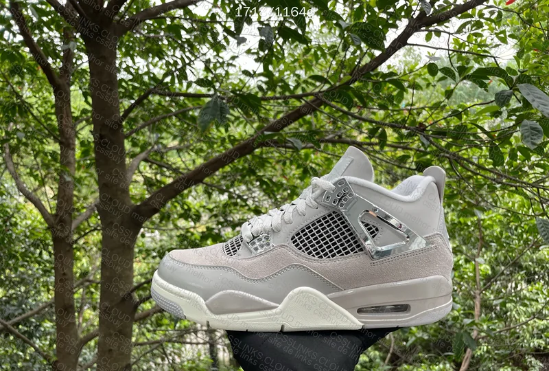 Jordan 4 frozen momento GX 7