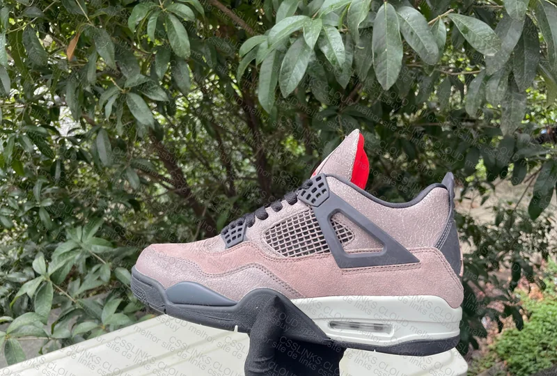 Jordan 4 LJR 3