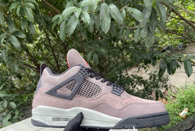 Jordan 4 LJR 4
